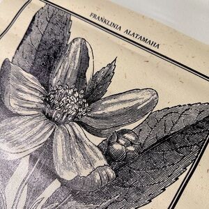 Franklin Tree art print on canvas black and cream botanical craft